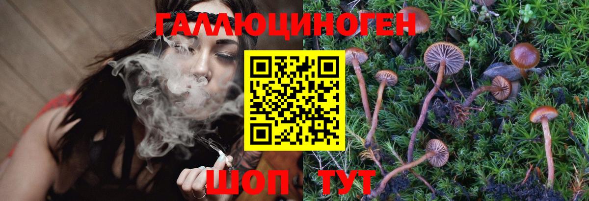 Псилоцибиновые грибы Psilocybe  наркошоп  Галлюциногенные грибы Psilocybe  Чита  Вход с VPN 